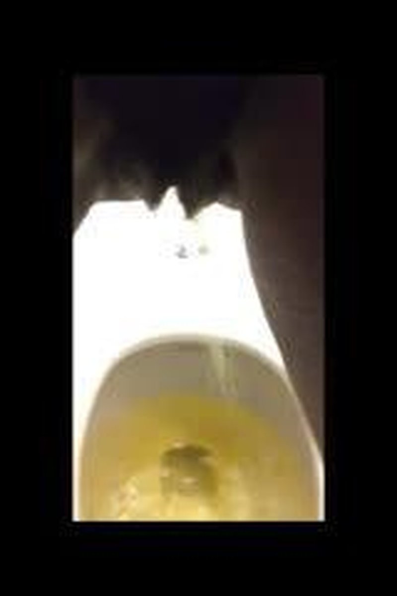 Fun Peepee Experience - Screenshot 1 of 4 - Ass Worship