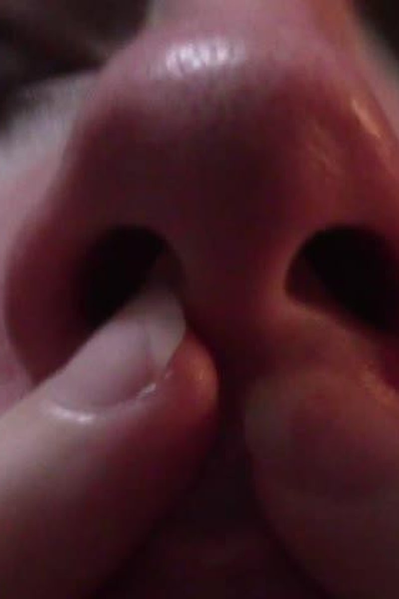 Custom: Extremely Nosey - Screenshot 1 of 4 - Fetish