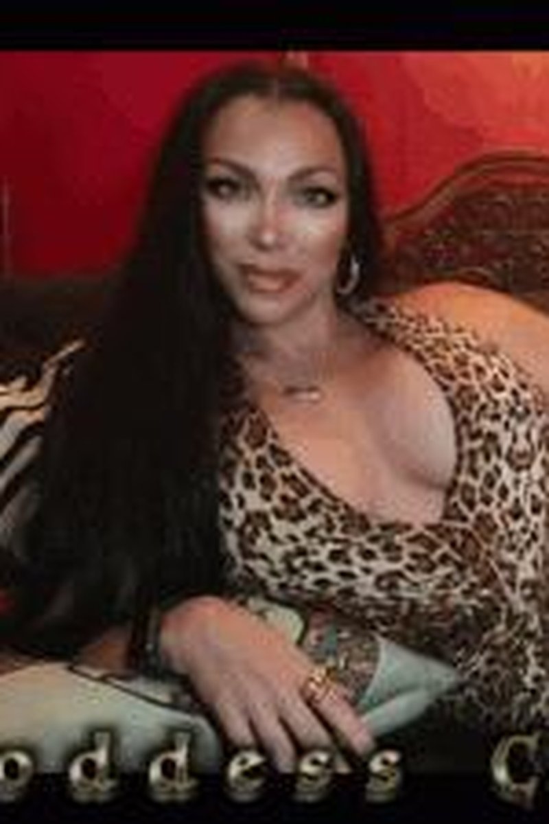 Leopard Lounge CEI - Screenshot 1 of 4 - Cum Eating