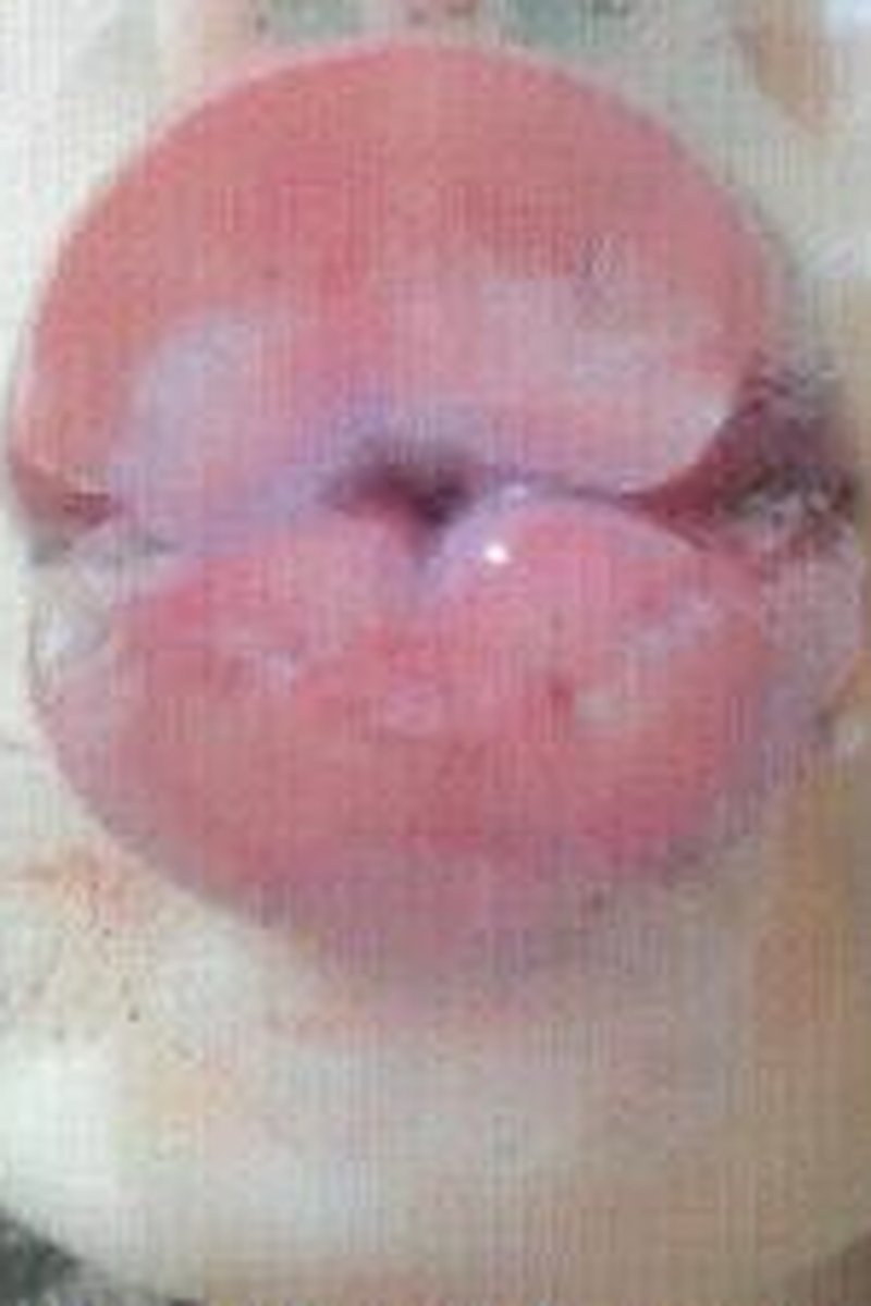 Choco Lips Mark - Screenshot 1 of 4 - Beautiful