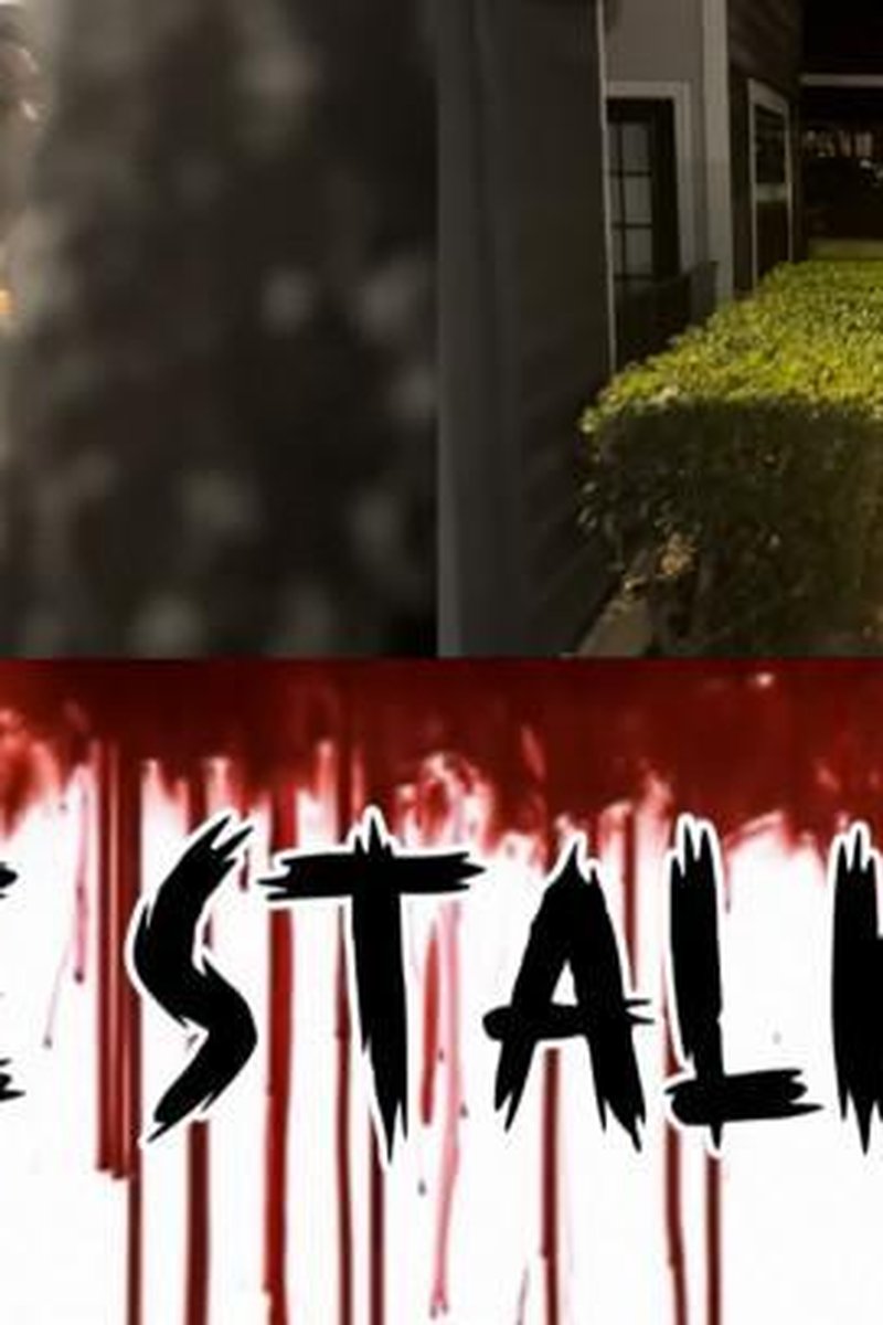 The Stalker - Screenshot 1 of 4 - Black
