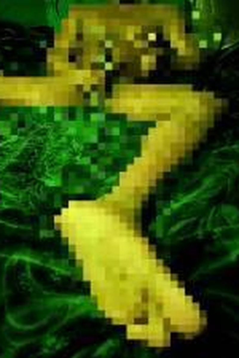 Superior BBC - Screenshot 1 of 4 - BBC