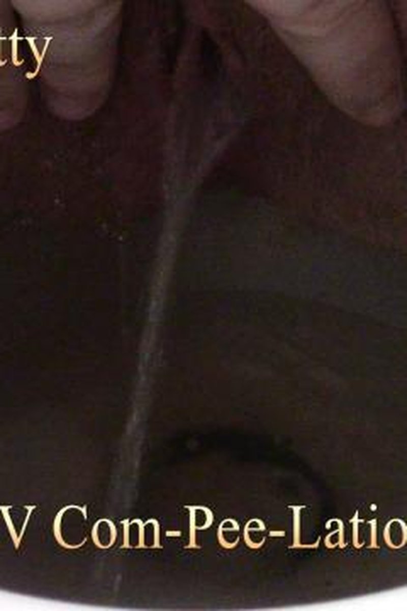 Rv Com-Pee-Lation - Screenshot 1 of 4 - Amateur