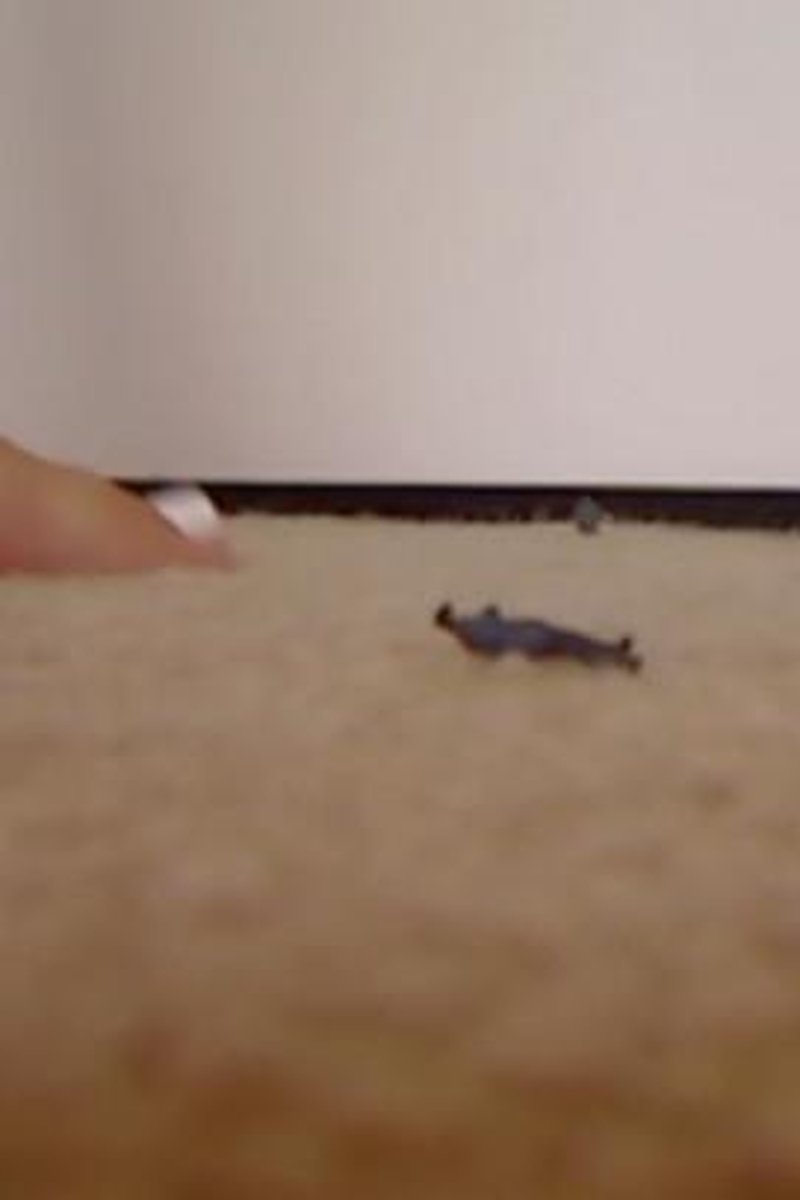 Giantess - Screenshot 1 of 4 - Fetish