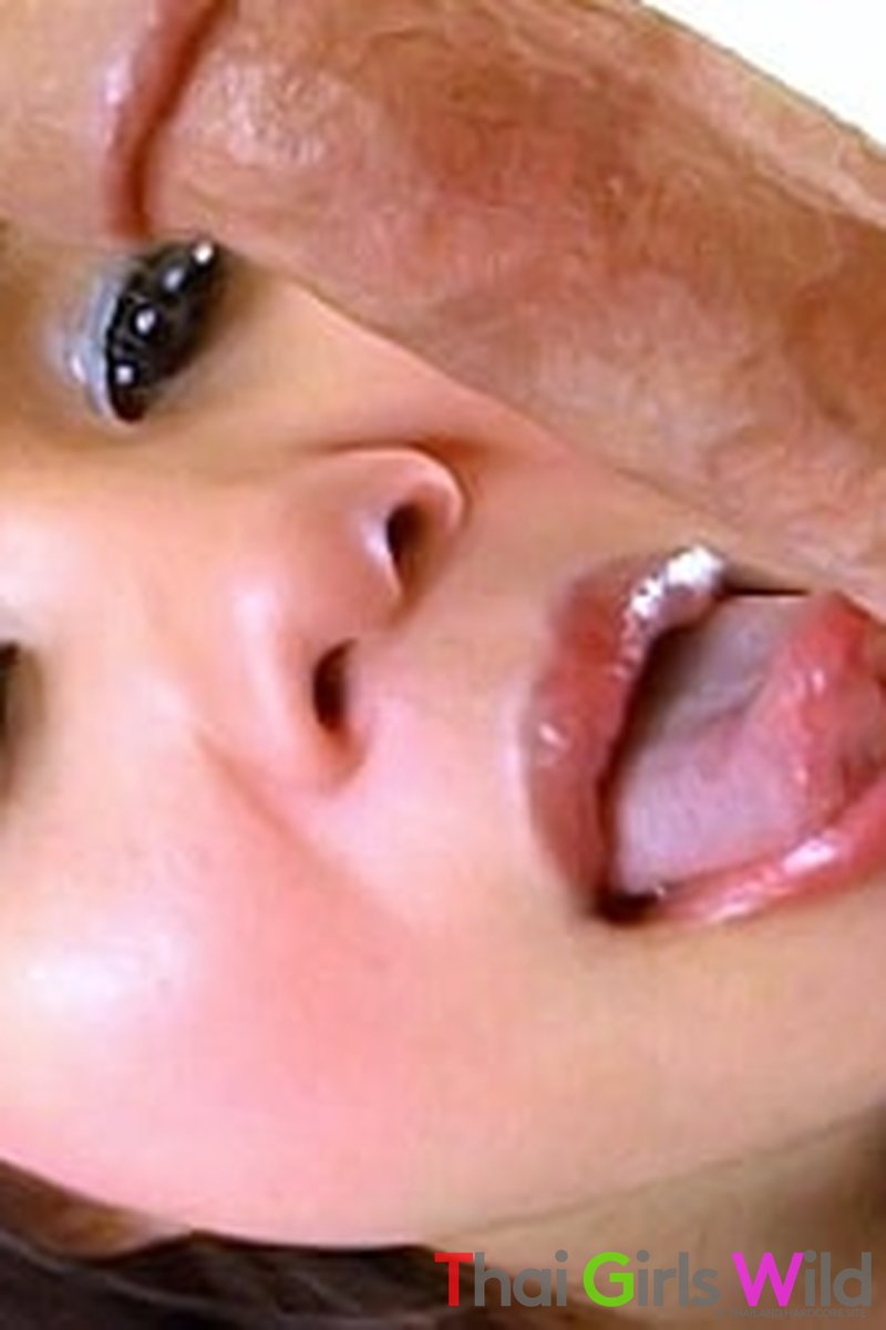 Pa - Screenshot 1 of 4 - Amateur