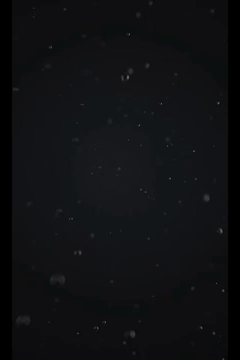 Trampling Session - Screenshot 1 of 4 - Domination