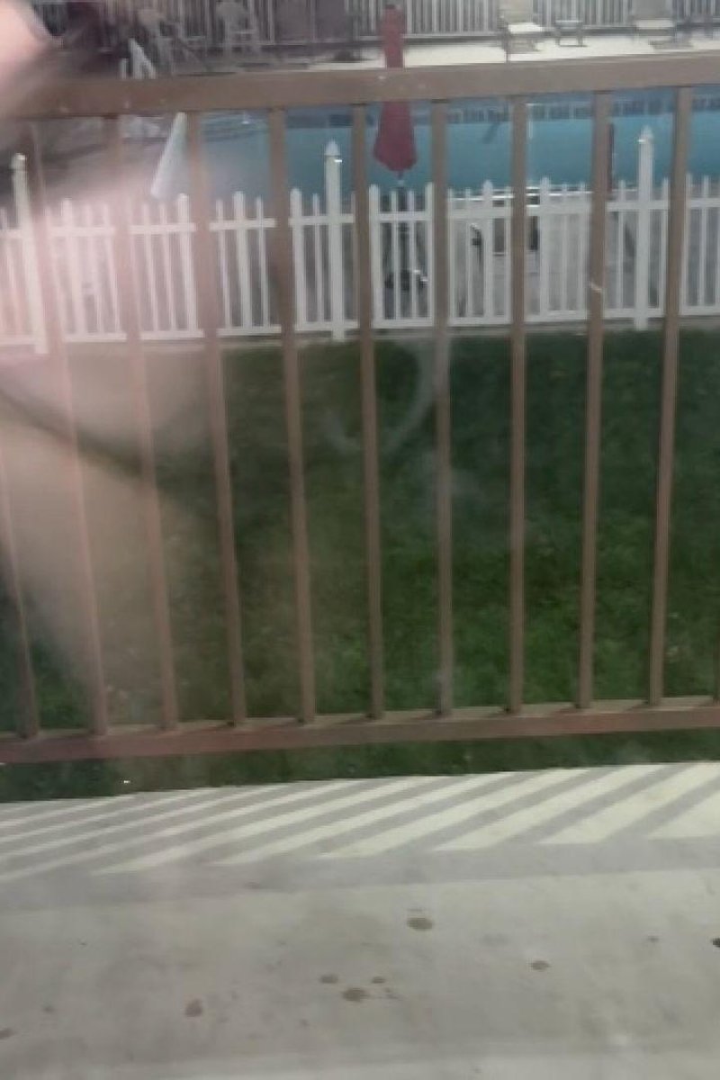 Nice Evening - Screenshot 1 of 4 - Big Ass