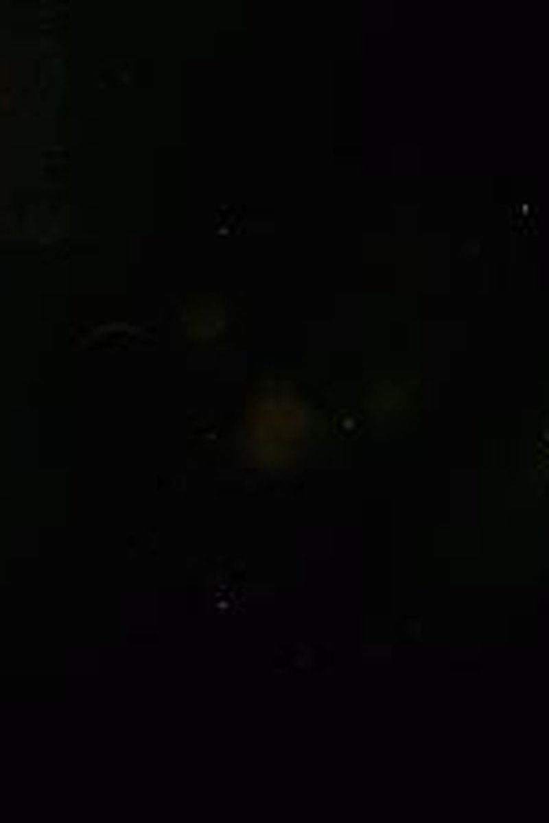 Faggot Bootcamp - Screenshot 1 of 4 - Closet Fag