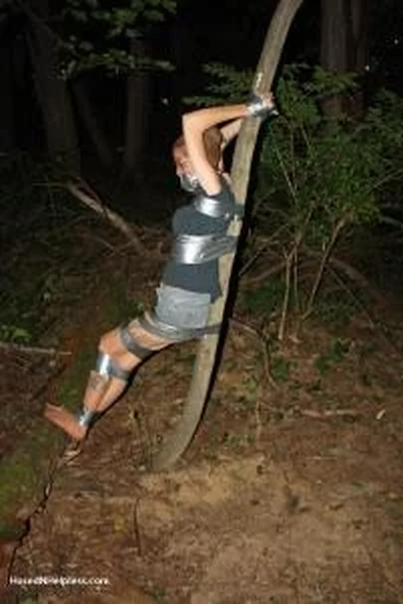 Update #211 - Screenshot 1 of 4 - Bondage