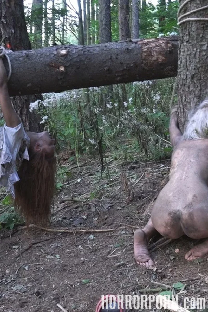 The Dark Side of the Woods