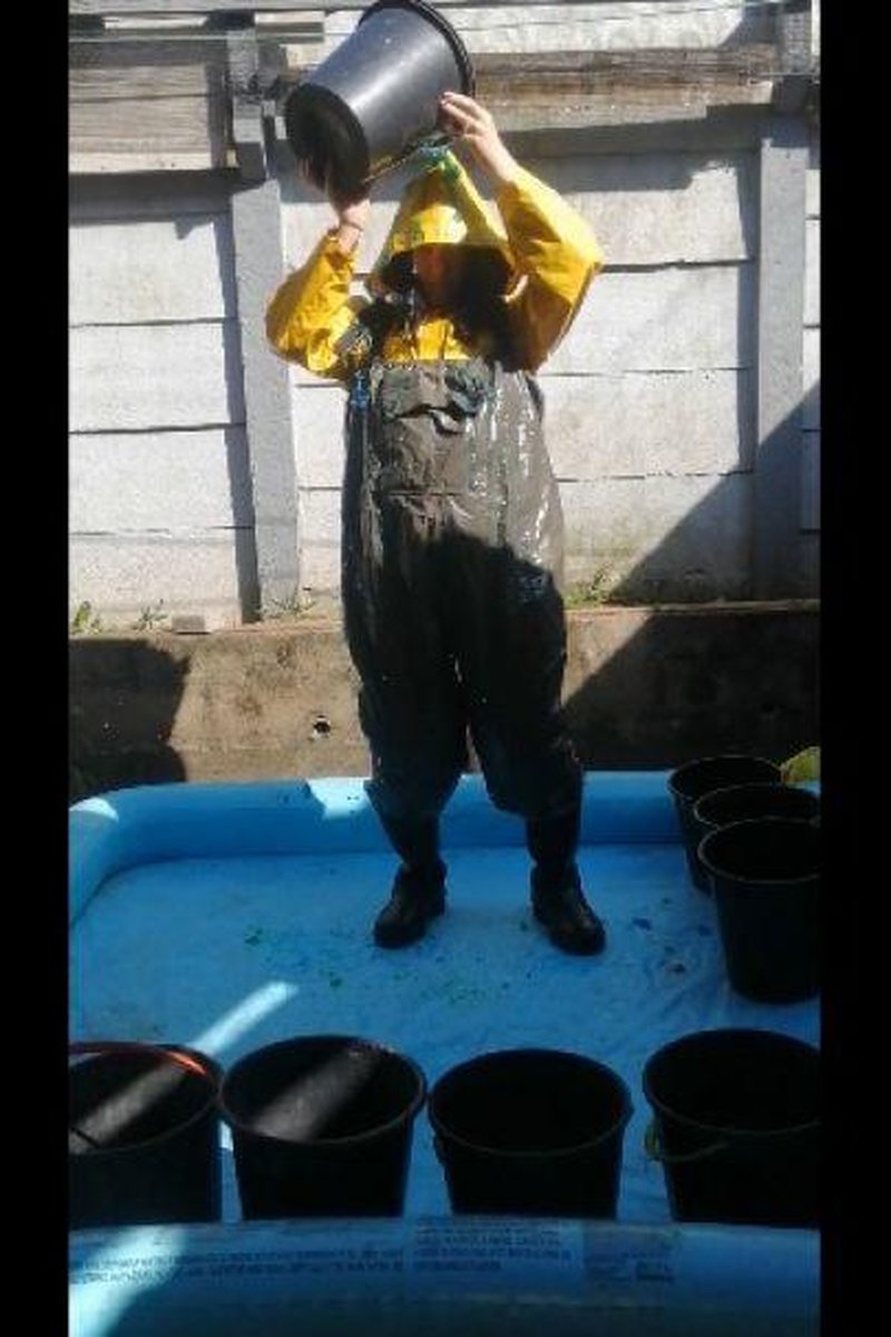 Jelly Waders - Screenshot 1 of 4 - Filling