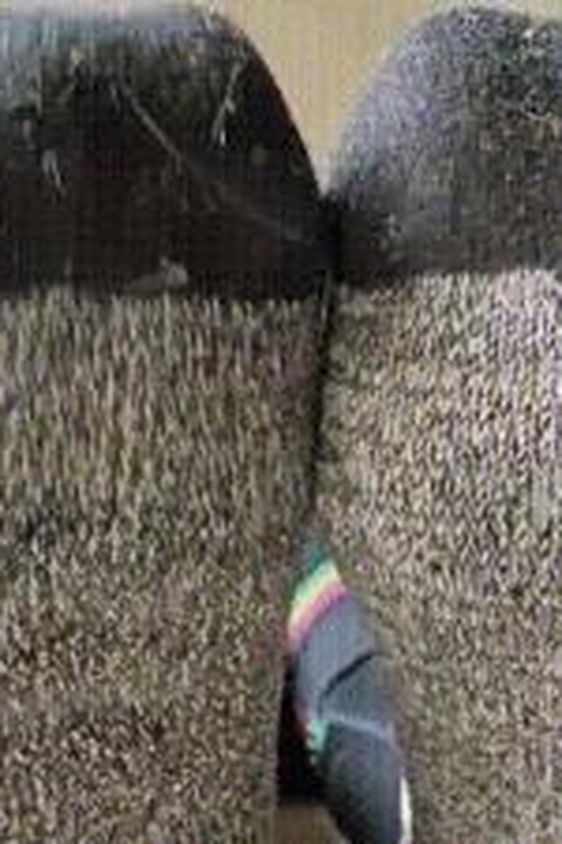 Testing, Testing. 1, 2, 3 - Screenshot 1 of 4 - Foot Fetish