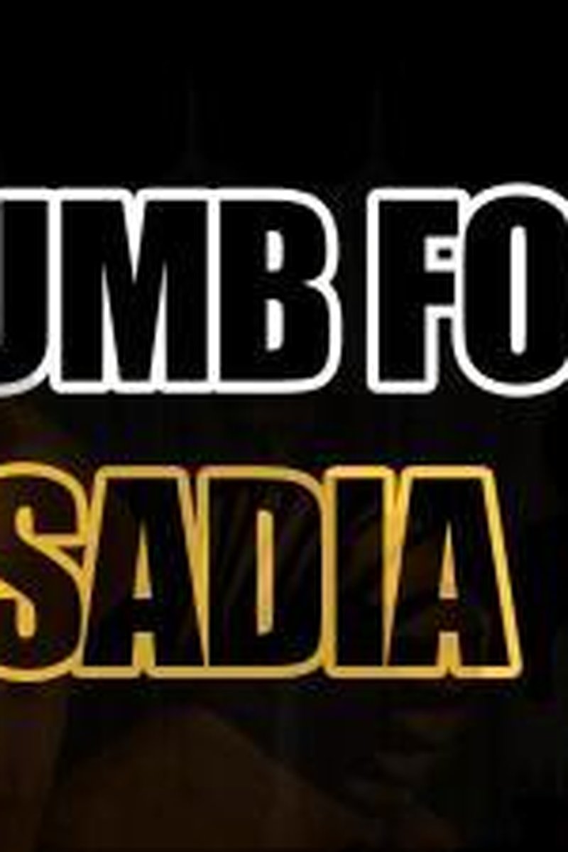 Dumb For Sadia - Screenshot 1 of 4 - Broken
