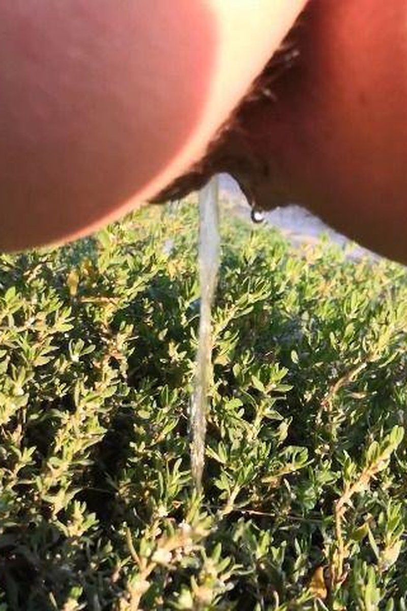 Pee. Compilation - Screenshot 1 of 4 - Amateur