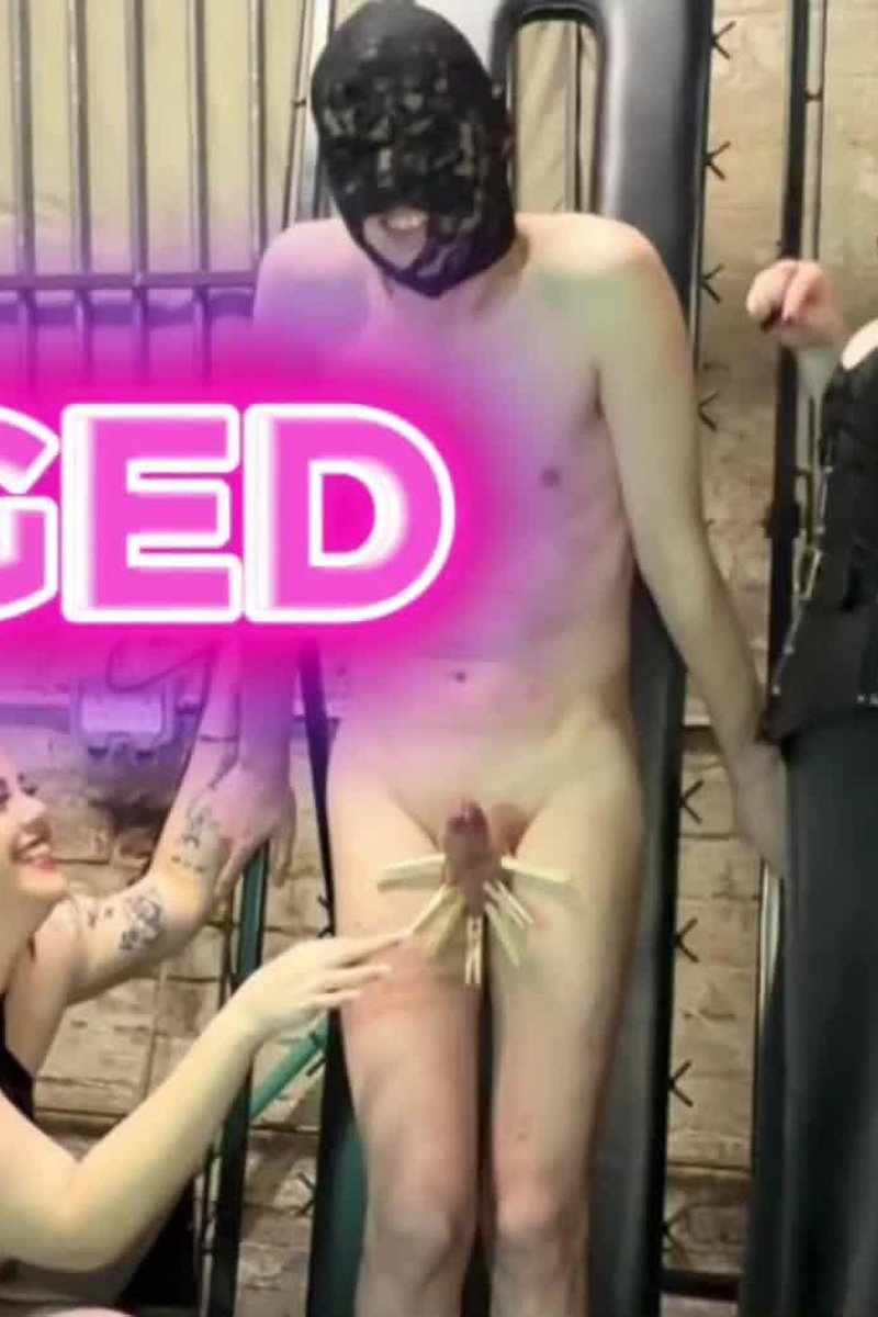 Pegged-Cbt - Screenshot 1 of 4 - Blue Balls