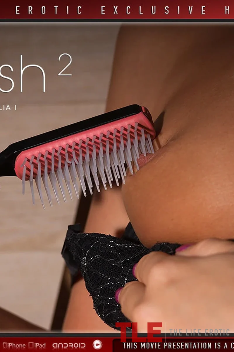 Brush 2 - Screenshot 1 of 4 - Asian