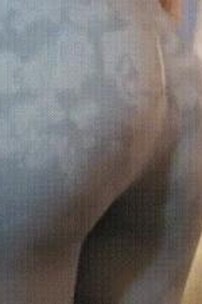 Facesitting Slave - Screenshot 1 of 4 - Asphyxiation