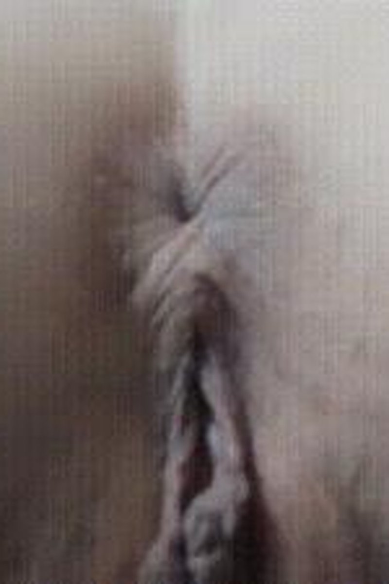 Asshole Winking - Screenshot 1 of 4 - Anal Winking