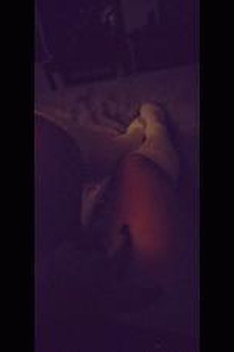 Knee High Socks - Screenshot 1 of 4 - Socks