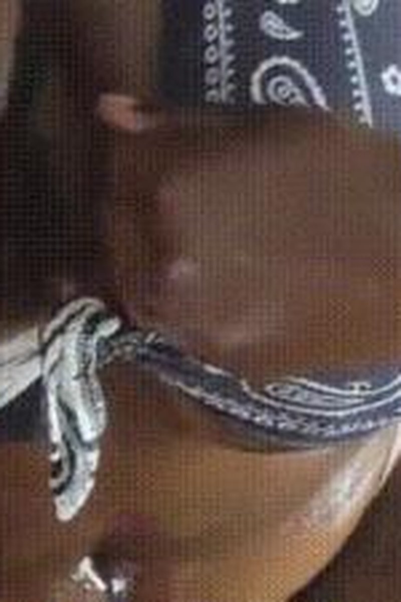Stroke It For Me - Screenshot 1 of 4 - Babes