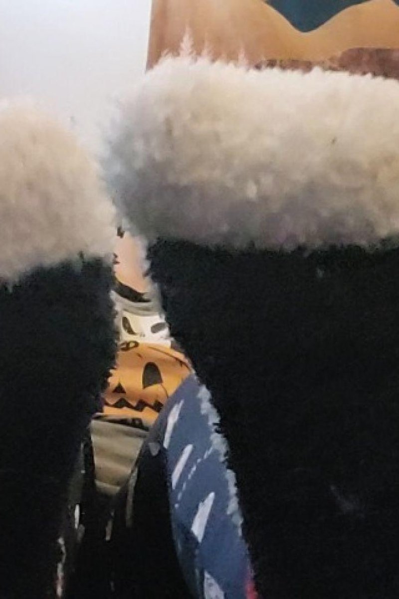 Fuzzy Socks - Screenshot 1 of 4 - Adorable