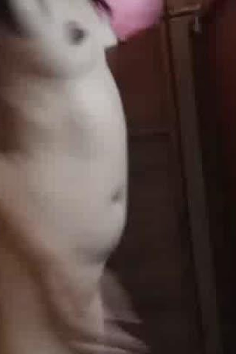 Spy Camera While Changing Clothes - Screenshot 1 of 4 - Asian