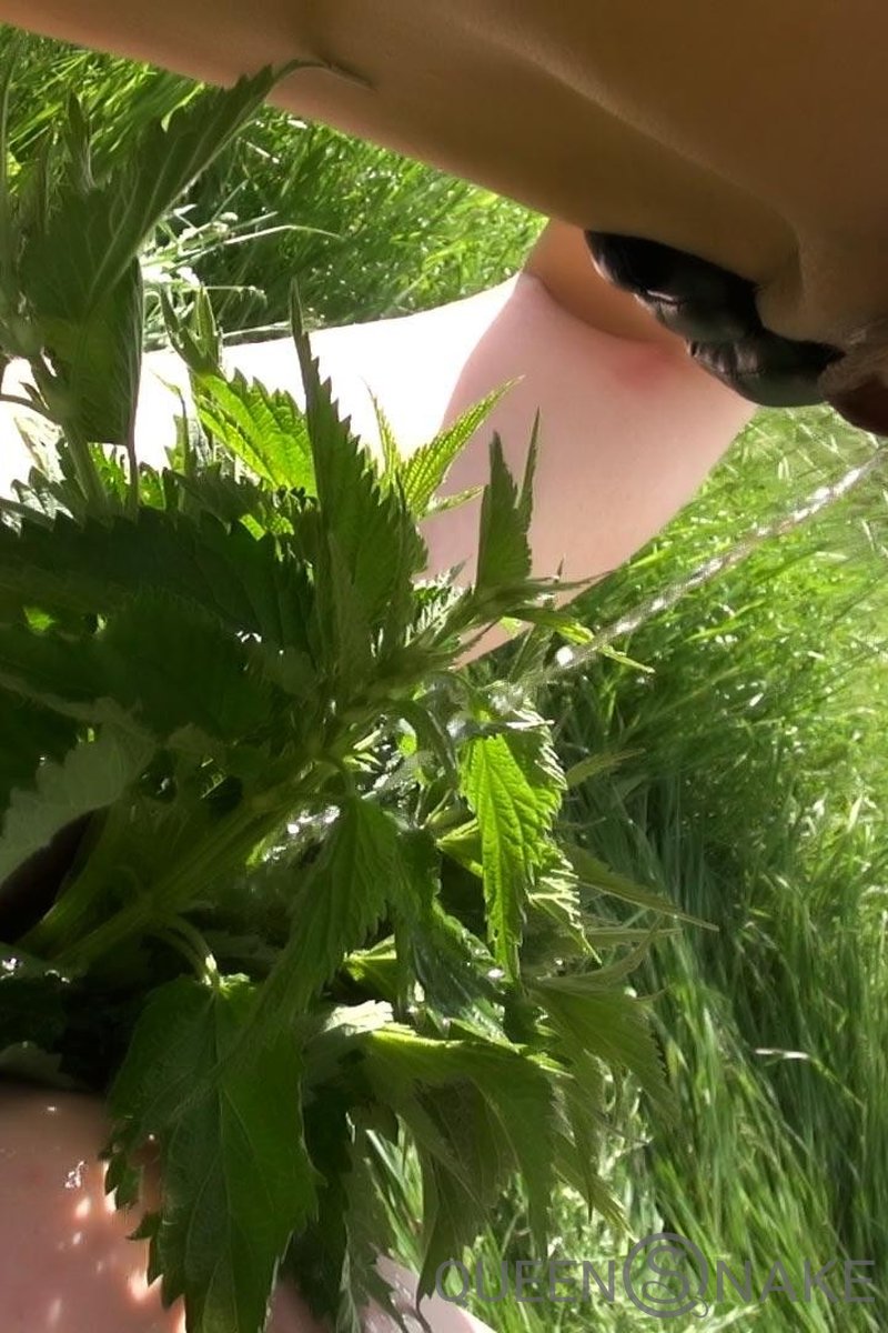 Nettle Impact - Screenshot 1 of 4 - Golden Shower