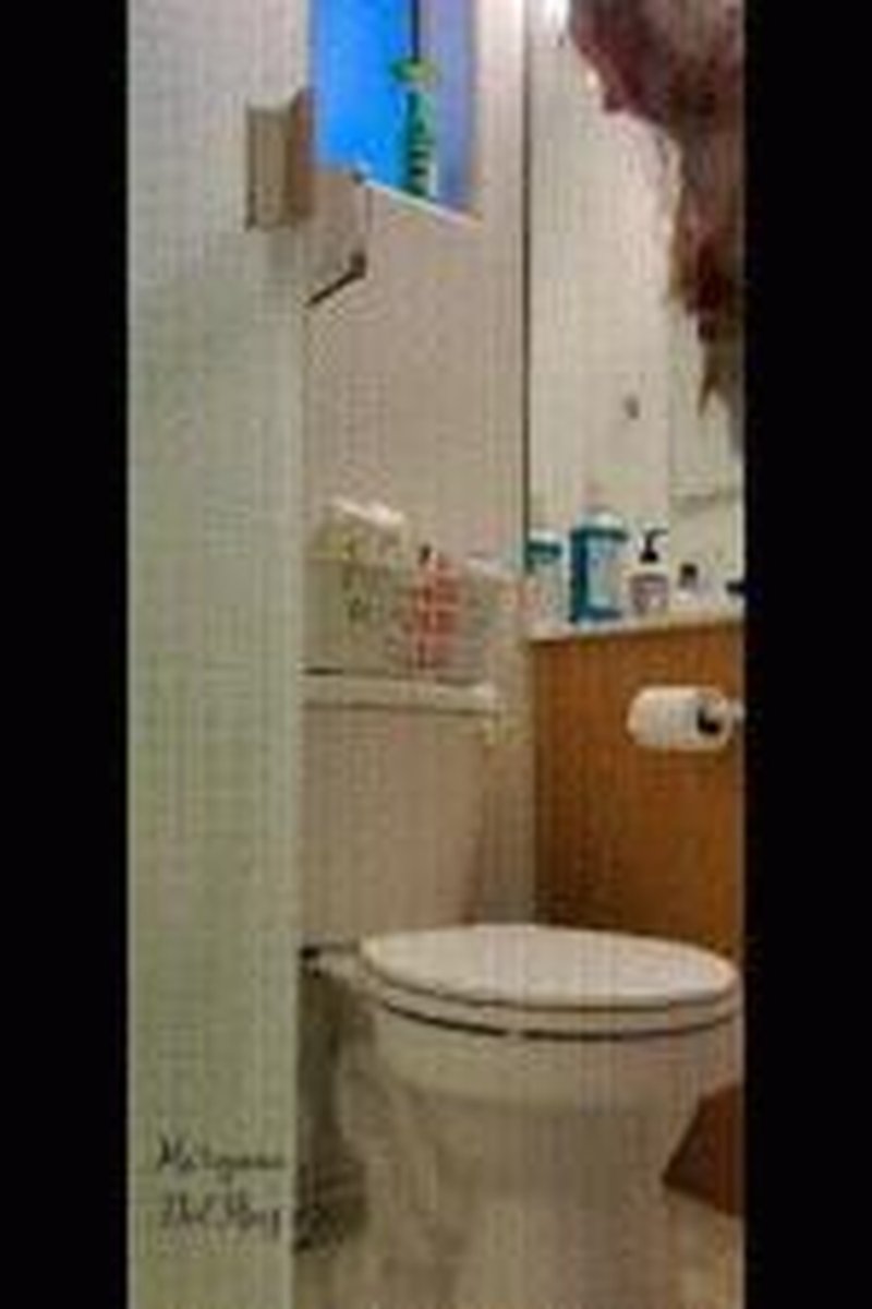 Bathroom Diary Three - Screenshot 1 of 4 - Ass Fetish