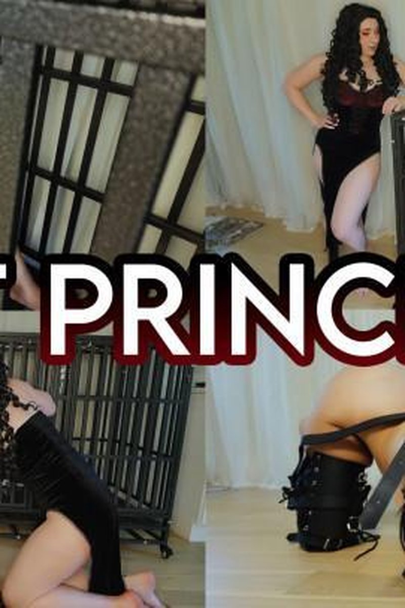 Princess Pet - Screenshot 1 of 4 - Babes
