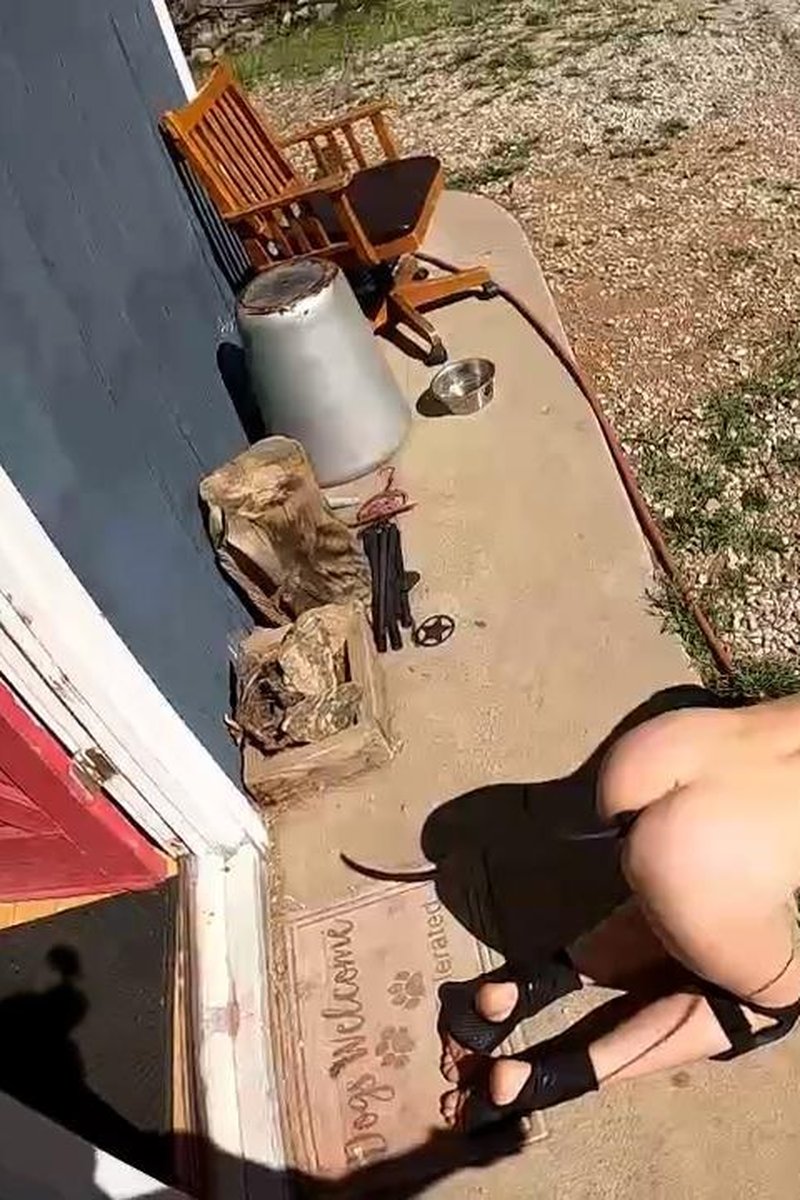 A Leashed Pet - Screenshot 1 of 4 - Bondage