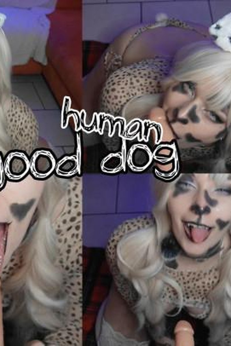 A Good Human - Screenshot 1 of 4 - Barking