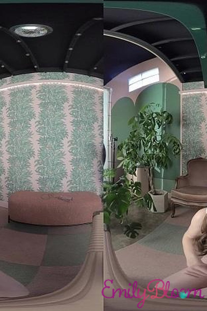 Green Room VR - Screenshot 1 of 4 - Big Tits