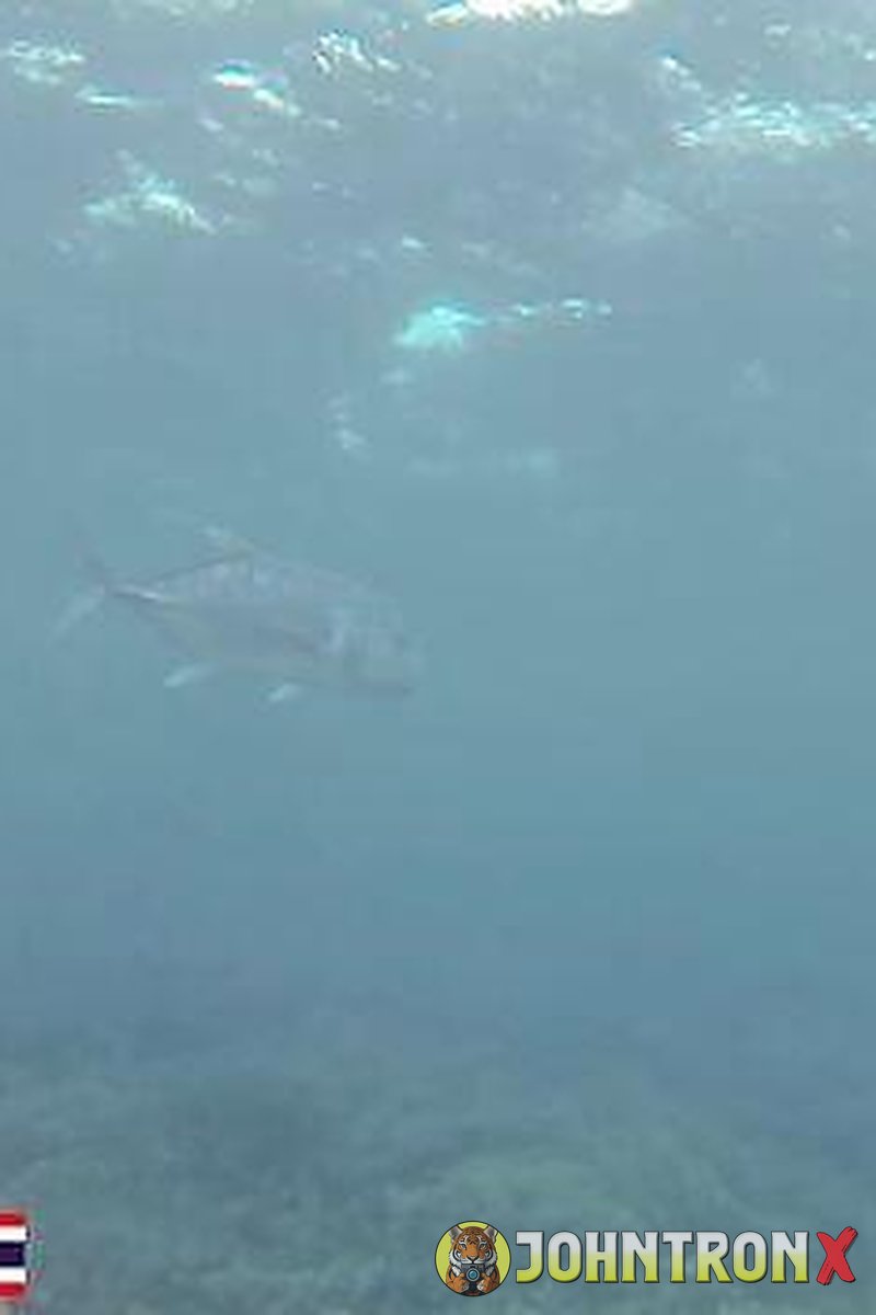 Scuba Diving - Screenshot 1 of 4