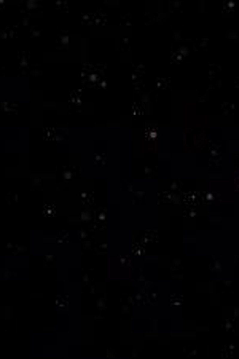 Bound X - Screenshot 1 of 4 - BBW