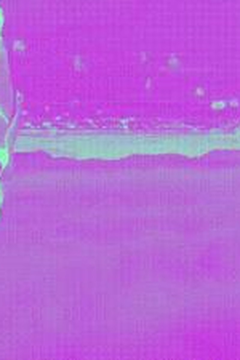 Lost - Screenshot 1 of 4 - Addiction Fetish