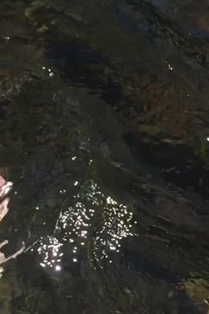 River Toes - Screenshot 1 of 4 - Curvy