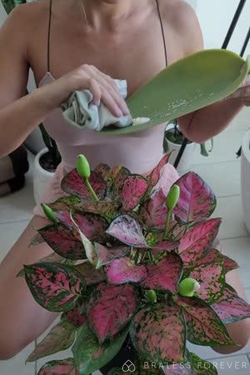 Tiktok Plant Hack - Screenshot 1 of 4