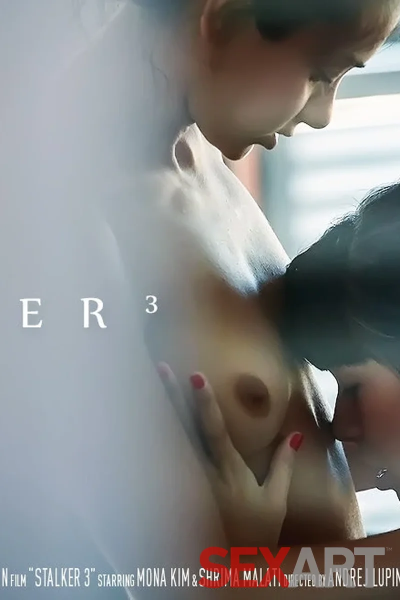 Stalker 3 - Screenshot 1 of 4 - Brown Hair