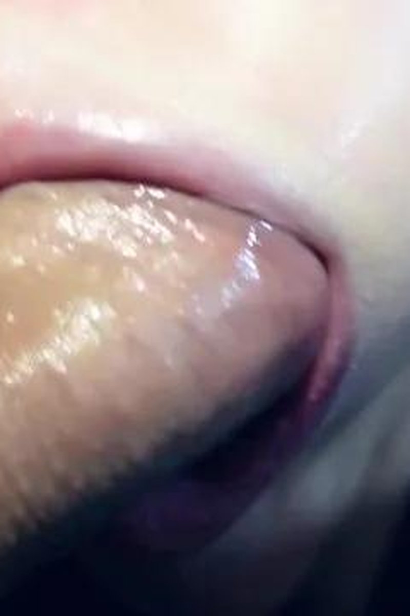 Very Tasty Cock - Close Up - Screenshot 1 of 4 - Big Dick