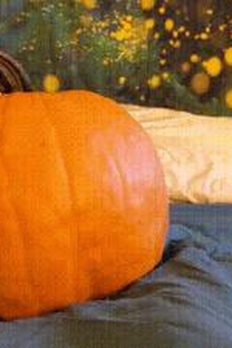Pumpkin Humpin - Screenshot 1 of 4 - Clit