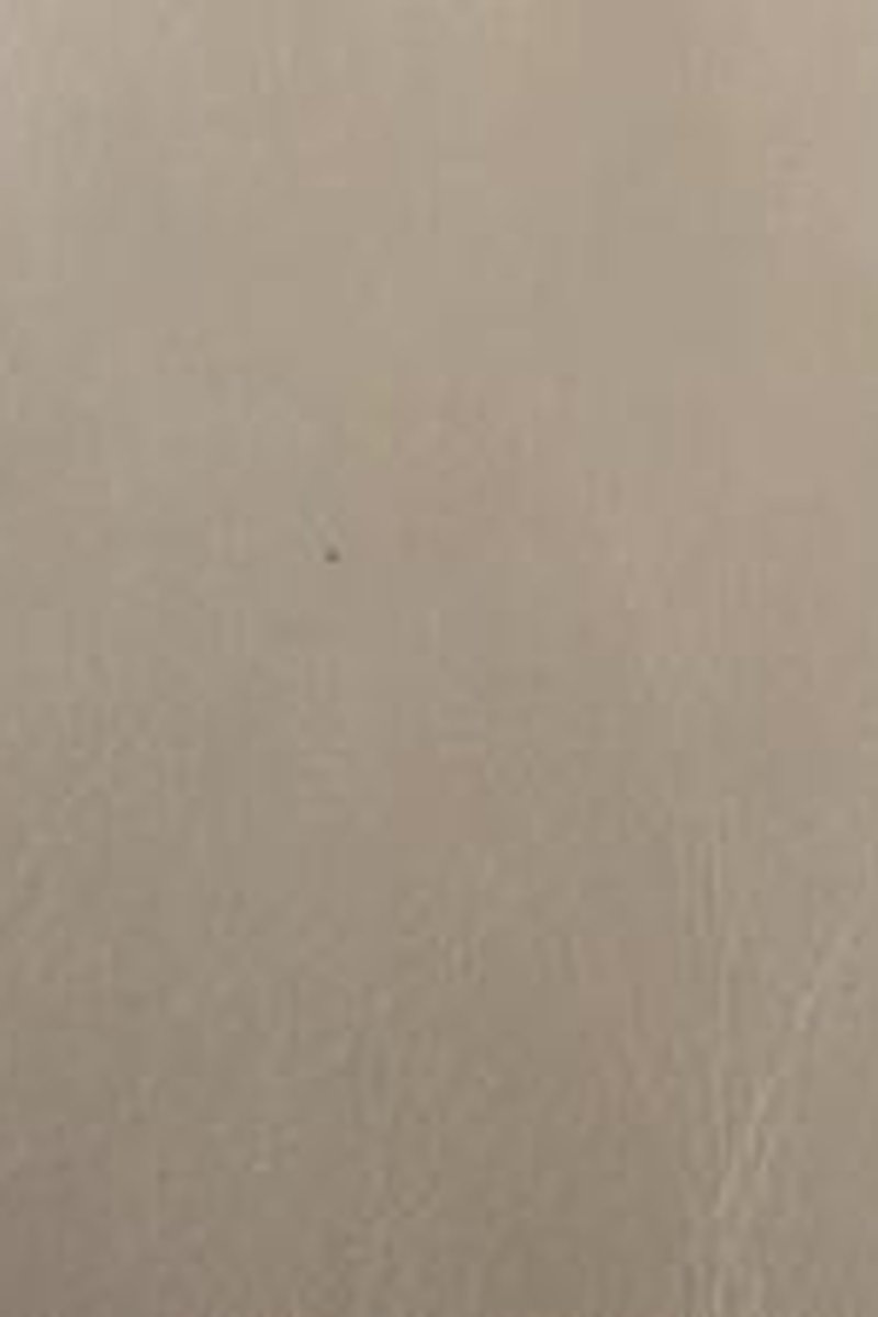 Creature - Screenshot 1 of 4 - Bodybuilder