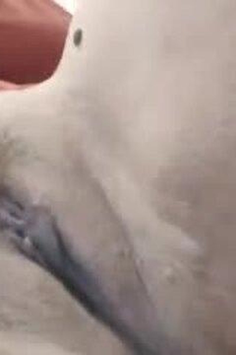 Fingering Fun - Screenshot 1 of 4 - Fingering