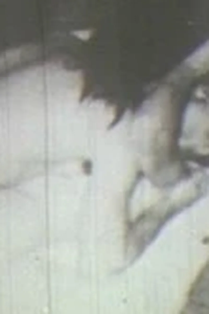 Honey - Screenshot 1 of 4 - Hardcore