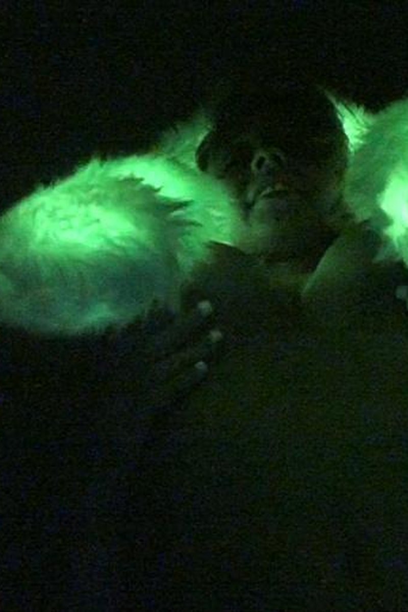 Full Lit Up - Screenshot 1 of 4 - Amateur