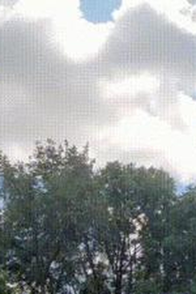 Cloud - Screenshot 1 of 4 - Domination