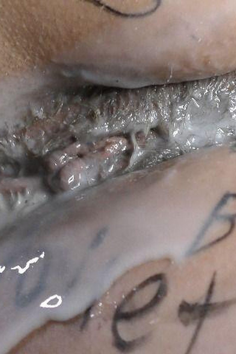 Huge Creampie Leaking From Pregnnat Pusy - Screenshot 1 of 4 - Cheating