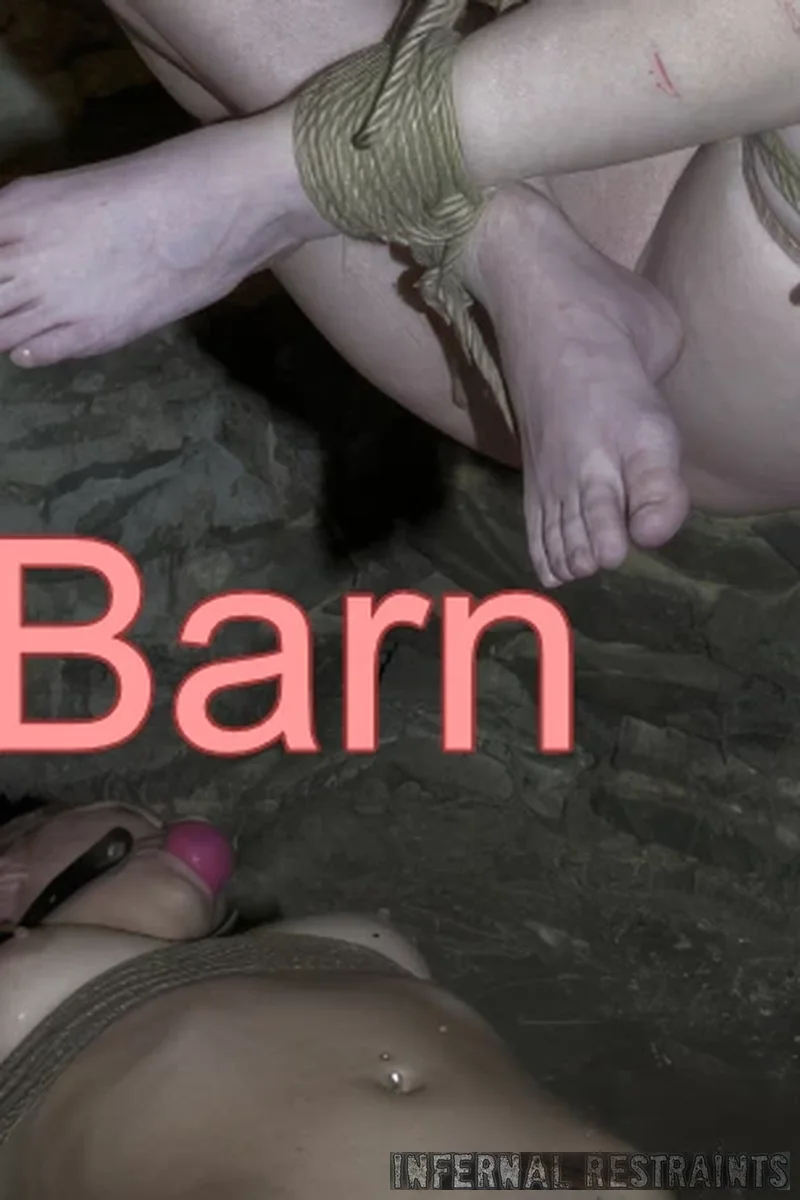 Cow Barn - Screenshot 1 of 4 - Cowgirl