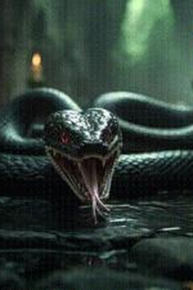 Sacrifice - Screenshot 1 of 4 - Darkside Fetish