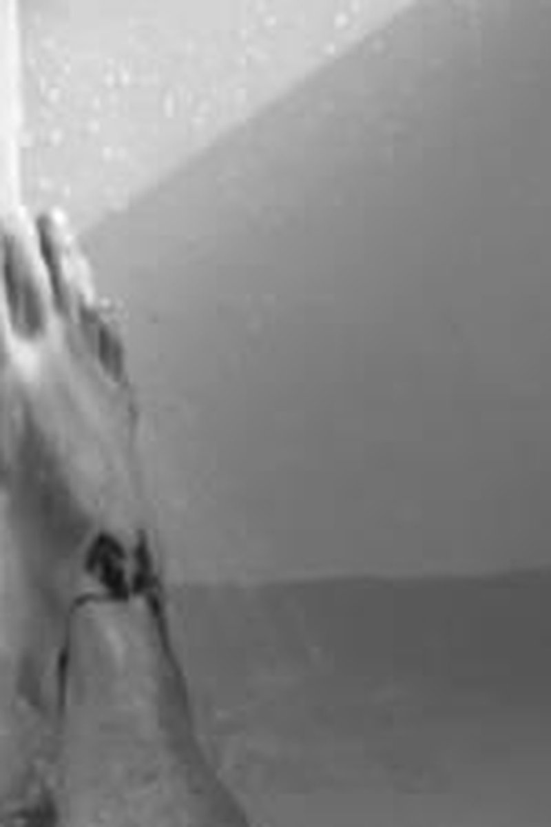 Dripping - Screenshot 1 of 4 - Cougar