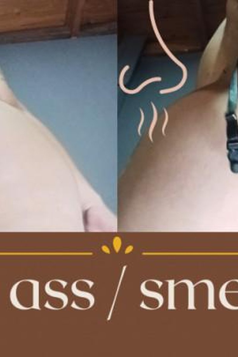 Smelling Ass - Screenshot 1 of 4 - Ass Fetish